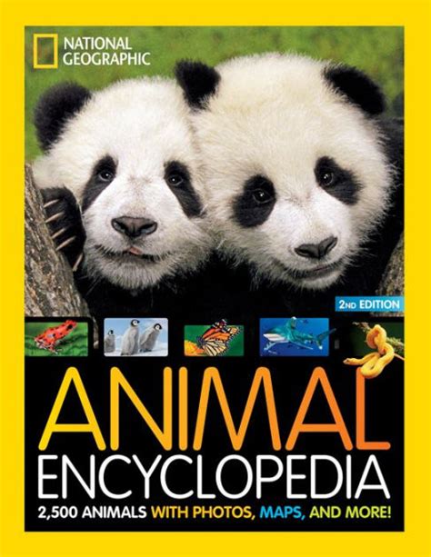 動物大全|Animal Encyclopedia With Facts, Pictures, Definitions, and More!